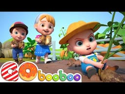 One Potato, Two Potatoes Song | GoBooBoo Kids Songs & Nursery Rhymes