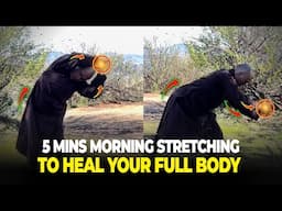 Qigong Morning Stretches for Full-Body Healing | Thich Man Tue