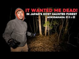 (VERY SCARY) The Night I Nearly DIED WHILE CAMPING ALONE IN JAPANS HAUNTED SUICIDE FOREST