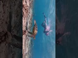 POV: You’re in Kauai Hawaii 🌴🌺🐢