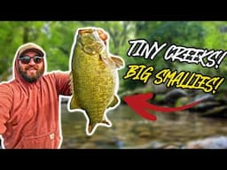 Catching BIG Smallmouth in Tiny Creeks! (Ohio River Creek Fishing)