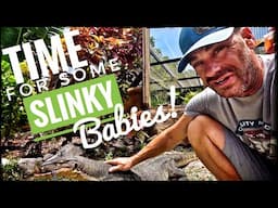Slinky is getting a Girlfriend!