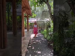An oasis in the heart of Bangkok 🇹🇭 Natura Cafe