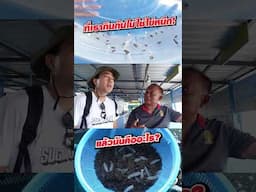 เพิ่งรู้ไข่(ปลา)หมึกจริงๆ กินไม่ได้