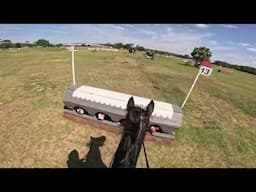 GoPro: Good American (Novice | 2025 Ocala International Festival of Eventing)