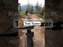 Mountain Bike Trail Preview - Blackcomb Mtn