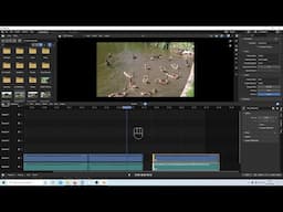 Blender 3.4: Video Editing Tutorial For Beginners.