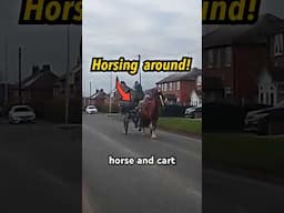 Horse and cart breaks the speed limit #animals #animals #roads #danger #outdoors #fun #driving