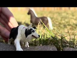A Wolf Pack/Schleich/ Part 6
