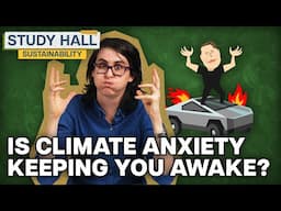 What is the Future of Sustainability? | Sustainability 30 of 31 | Study Hall