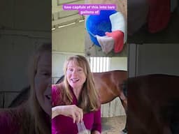 Oil Buffing Tips for Shiny Horses