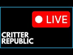Critter Hunter is live!