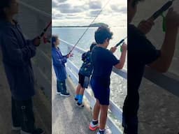 🦀 FISHING OFF THE WHARF with kids: a fun and educational experience 🎏🦀