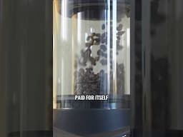 A coffee roaster pays for itself in just 1 year