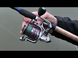 Cadence Reels Explained