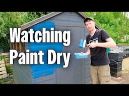 Things I've Never Told You About Myself | Painting The Shed | Allotment Gardening UK