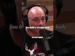 #joerogan #shortivation #motivation