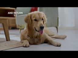 How to use the app | Forbes SmartClean with Home Mapping | Robotic Vacuum Cleaner