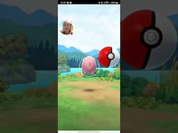 SWEET DISCOVERIES Event in Pokémon GO! APPLIN, FLAPPLE, APPLETUN & Shiny Hunt LIVE!