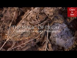 Hidden Beauty: Capturing the Magic of Decay in Nature’s Intimate Landscapes