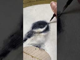 Painting a black-capped chickadee in watercolor on handmade Hanji #watercolortutorial #birdpainting