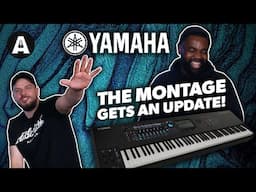 Montage 2.1 Update - What's New?