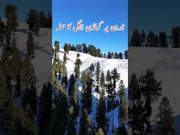 djiair3 drone attacked by golden eagle at peerchanasi Muzaffarabad azad kashmir #dji #djiair3