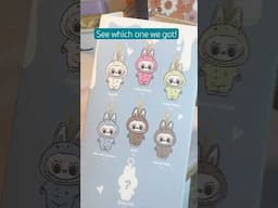 Which one did we get!? What’s your fave
