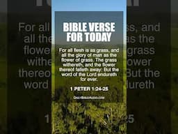 1 PETER 1:24-25 | Bible Verse For Today