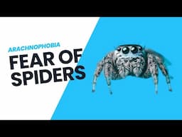 Fear of Spiders (Arachnophobia)