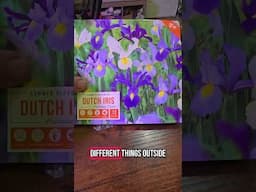 I picked up some Iris bulbs for the garden. I can't wait! #gardening #flowergarden #backyardeden