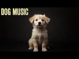 Relaxing Dog Music for Vet Visits – Ease Stress Before the Appointment