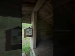 MORGAN STEWART MEMORIAL SHELTER Appalachian Trail 2025 Thru Hike #appalachiantrail #thruhike #ny