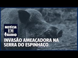 Invasão ameaçadora na Serra do Espinhaço
