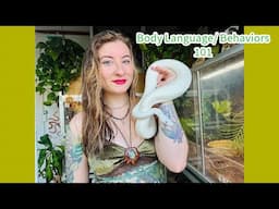 Reptile Behaviors & Body Language 101