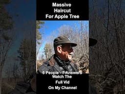 Hard Prune To My Oldest Apple Tree #diy