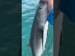 They went from never catching a fish in their life to this ! 🤯￼