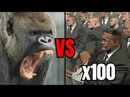 100 People vs a Gorilla: The Honest Truth