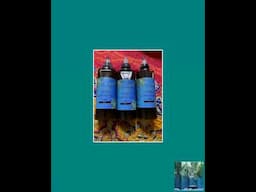 Organic 8oz Hair Growth Oil