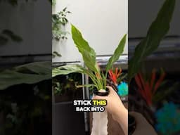 $5 DIY Filter Hack (It Works!)