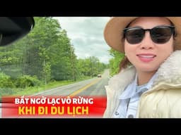 Cả Nhà Bất Ngờ Lạc Vô Rừng, Vợ Việt Bất Ngờ ĐÒI LÊN NÚI Ở Và Phản Ứng Của Chồng Mỹ