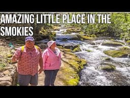 Busy Easter Week Great Smoky Mountains Wildflowers / Walk Up Jakes Creek / Little Hidden Gem