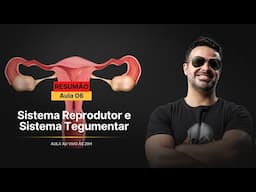 AO VIVO: RSUMÃO DA AULA 06 DO CURSO GRATUITO