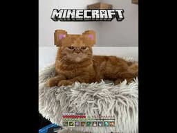 Tonche en minecraft #guzmancitos #gatos #cat #minecraft