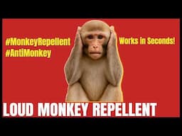 LOUD Sound to Scare Monkeys Instantly | Works in Seconds! (2025)