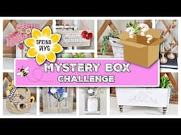 🌸*MUST SEE!! * SPRING MYSTERY BOX CHALLENGE | The CRAZIEST Item I've EVER used!! 🐝