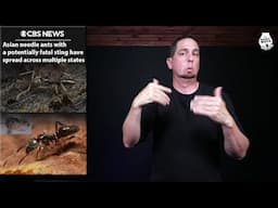Preview of June 10 Top Stories (Asian needle ants with deadly sting spread across U.S. states)
