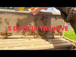 Checking The Infinity Frames After Only 5 Days!