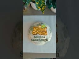 I gotta make a fossil next. Blathers would probably still take it! #animalcrossing #sourdough