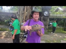 Bali Reptile Park, Night Hunting day 2. 3-17-25